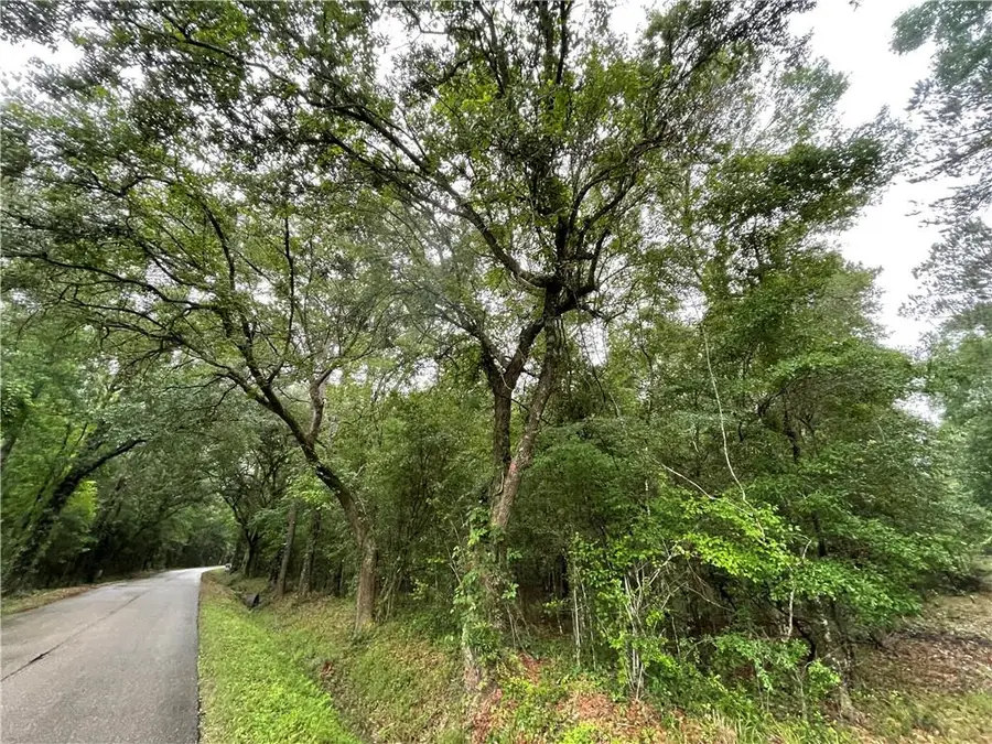 Bruhl Road, Folsom, LA 70437 - #3
