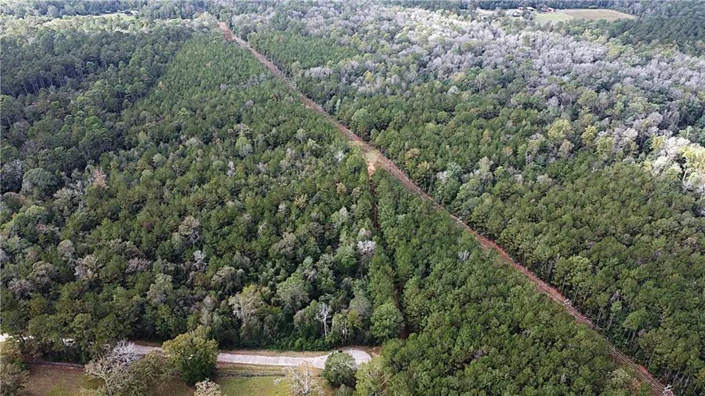 49 Acres Holliday Road, Folsom, LA 70437 - #1