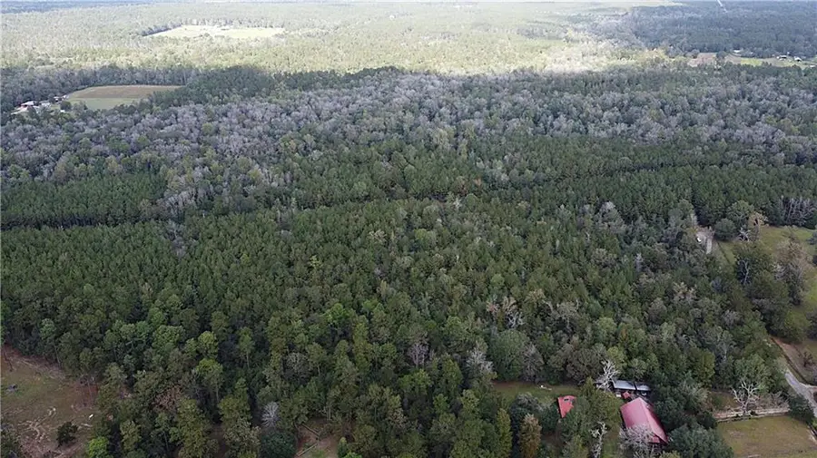 49 Acres Holliday Road, Folsom, LA 70437 - #3