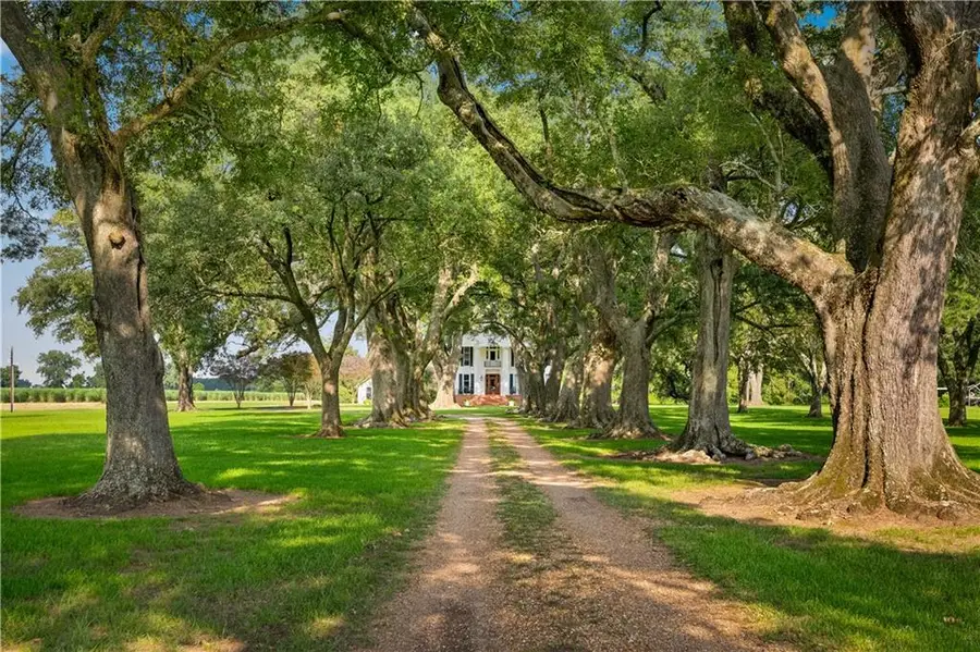 331 Munson Road, Cheneyville, LA 71325 - #2