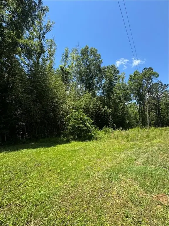 M-4 Hidden Hills Drive, Franklinton, LA 70438 - #1