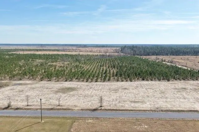#3 Elengton Road, Deridder, LA 70634 - #1