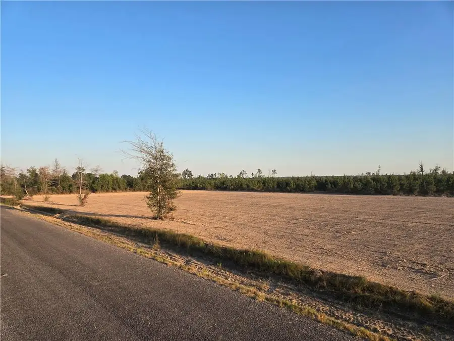 #3 Elengton Road, Deridder, LA 70634 - #3