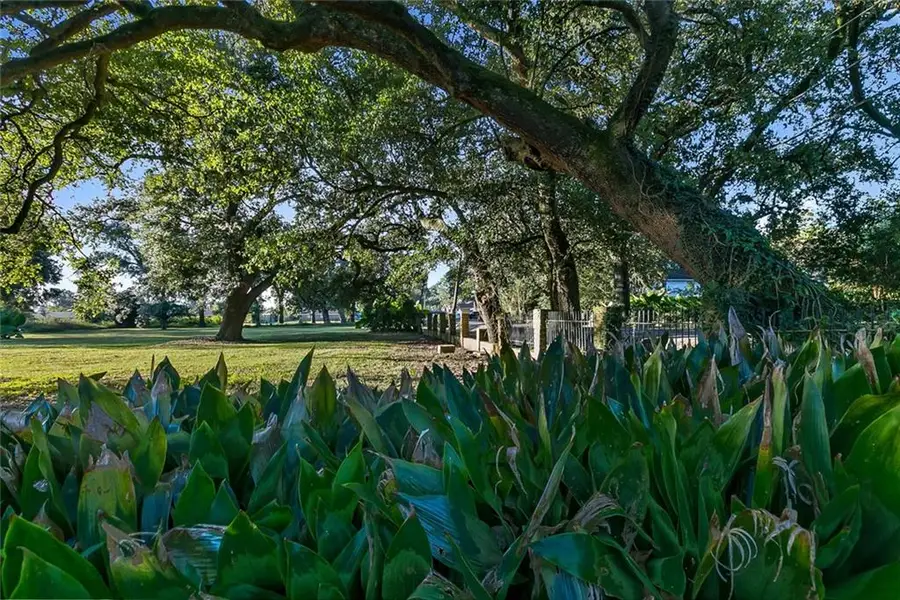 2020 Farragut Street, New Orleans, LA 70114 - #3
