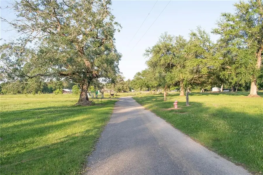 Henry White Road, Albany, LA 70711 - #3