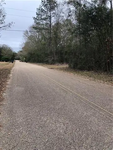 Lot 1 Chenel Street, Folsom, LA 70437