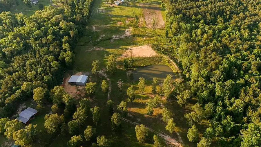 367 Greenscreek Road, Jena, LA 71342 - #3