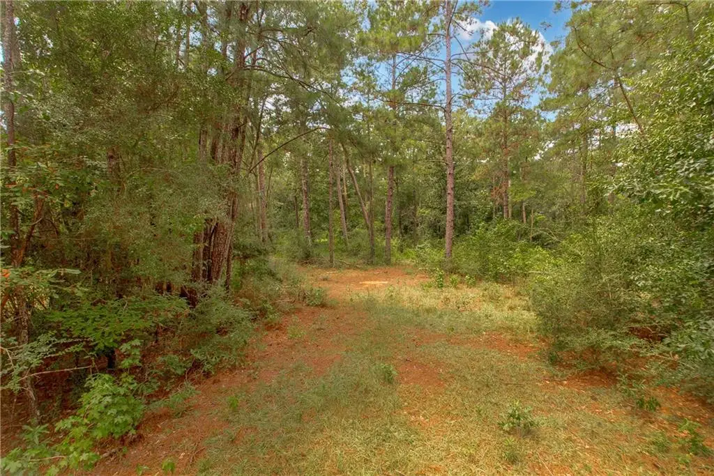 Lot 3 & 7 Robin Road, Franklinton, LA 70438 - #1