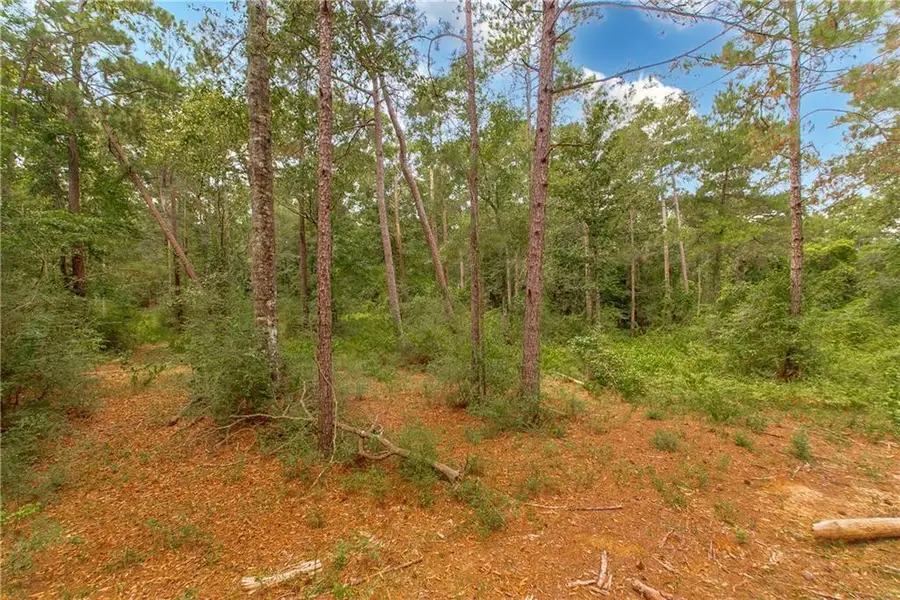 Lot 3 & 7 Robin Road, Franklinton, LA 70438 - #3