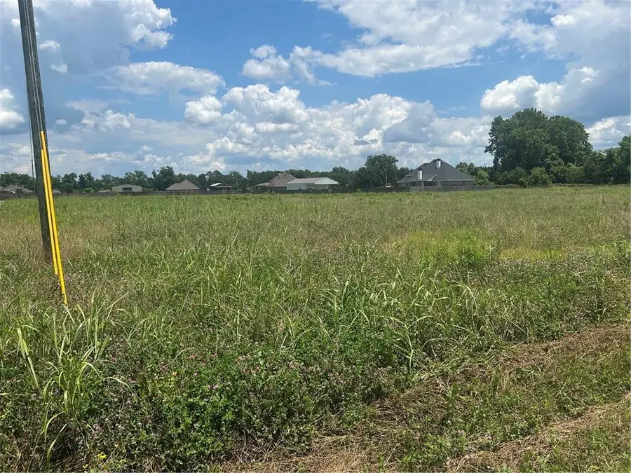 Lot 1 School House Road, Alexandria, LA 71303 - #3