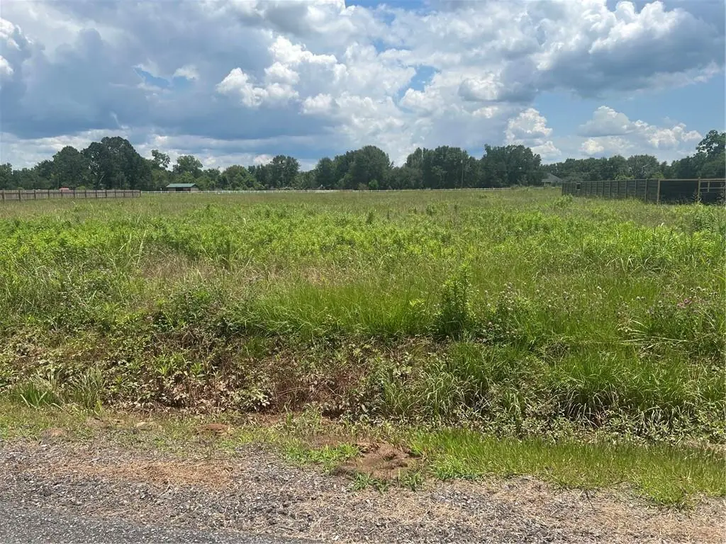 LOT 14 Gladys Drive, Alexandria, LA 71303 - #1