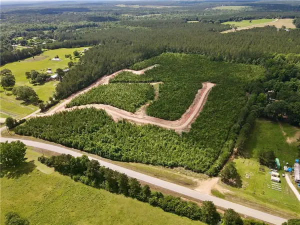 Parcel 1 436 Highway, Franklinton, LA 70438