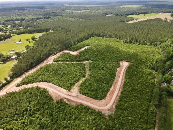 Parcel 4 436 Highway, Franklinton, LA 70438
