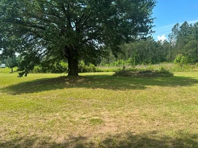 466 Highway 486 Highway, Campti, LA 71411 - #2