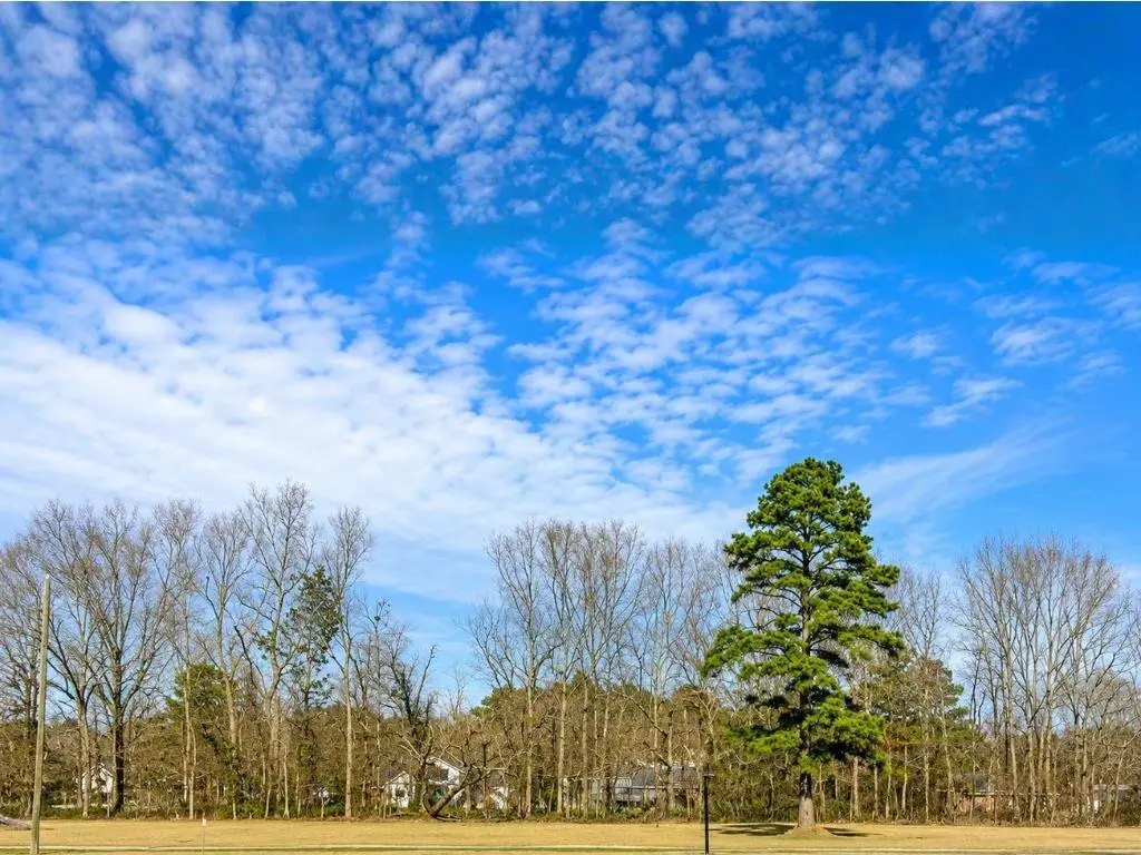 44068 Mary Singletary Road, Saint Amant, LA 70774 - #1