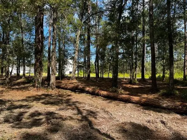 LOT 24-A Rue Charlotte Road, Madisonville, LA 70447