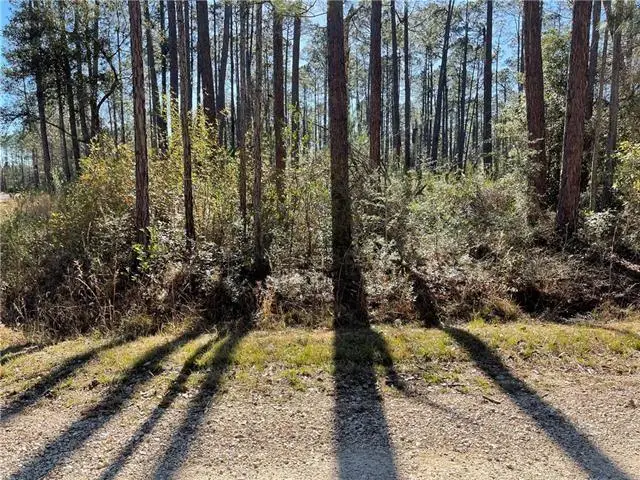 Quimet Drive, Abita Springs, LA 70420 - #2