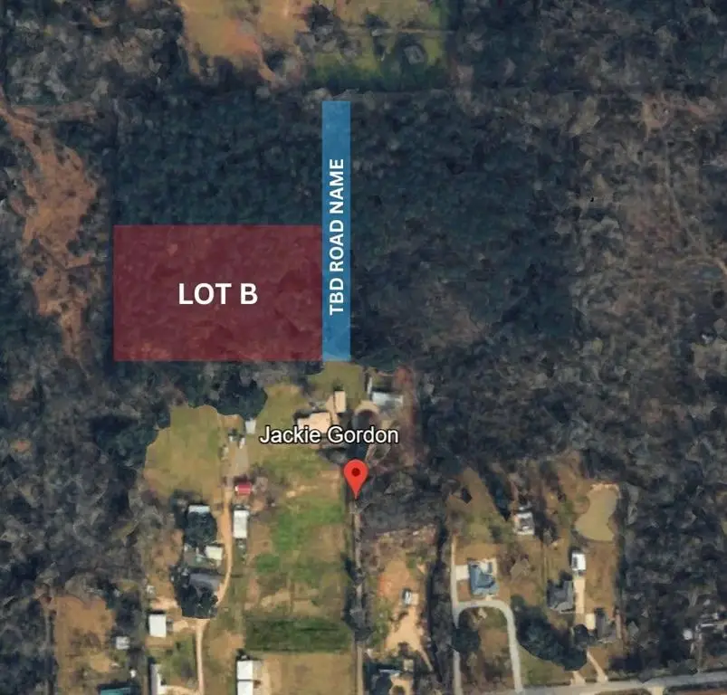 LOT B Jackie Gordon Lane, Albany, LA 70711 - #2