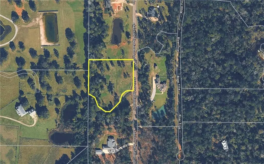 50257 Spirit Of The Forest Lane, Folsom, LA 70437 - #1