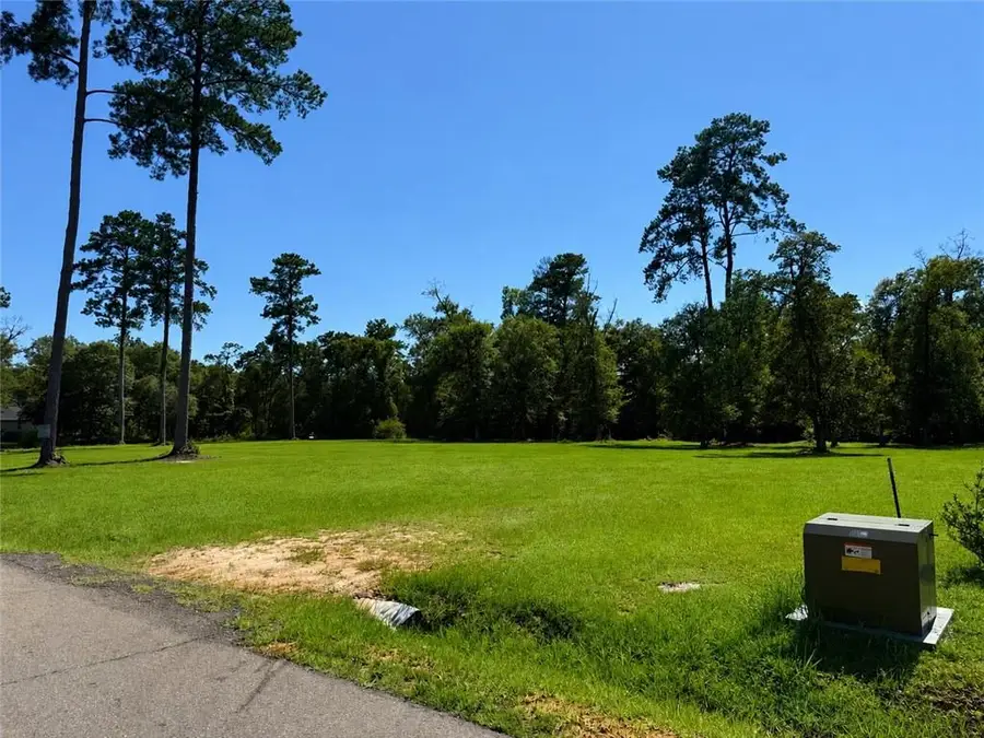 50257 Spirit Of The Forest Lane, Folsom, LA 70437 - #3