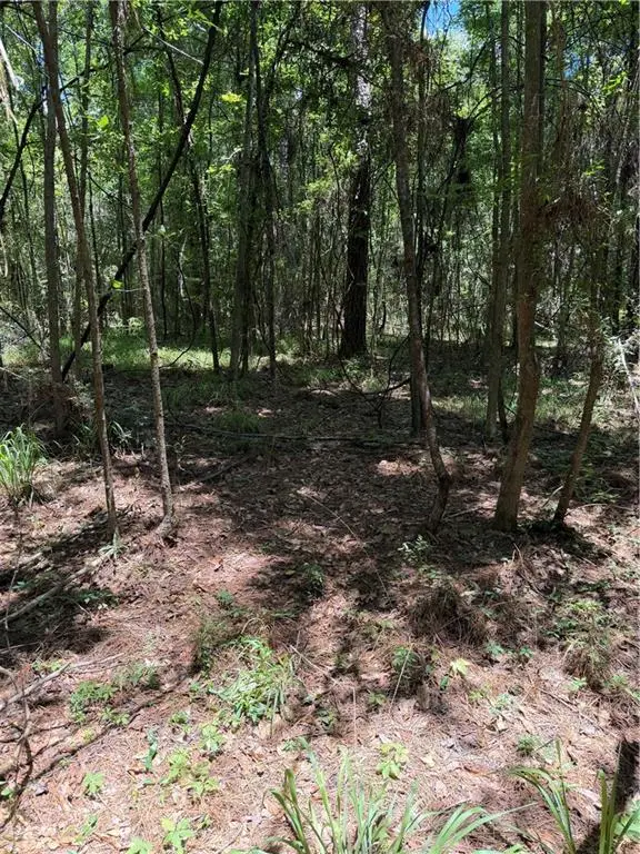 Reames Rd Road, Zachary, LA 70791 - #3