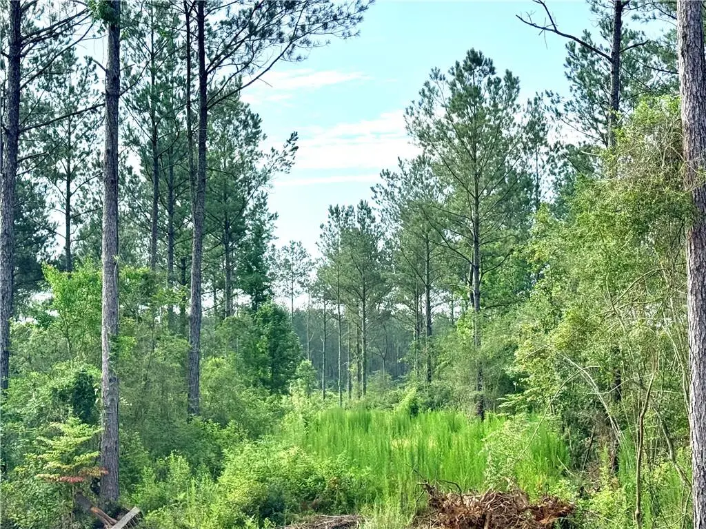 Lot2-B 3.08ac Lee Road, Franklinton, LA 70438 - #1
