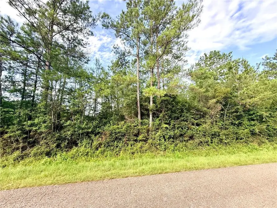 Lot2-B 3.08ac Lee Road, Franklinton, LA 70438 - #3