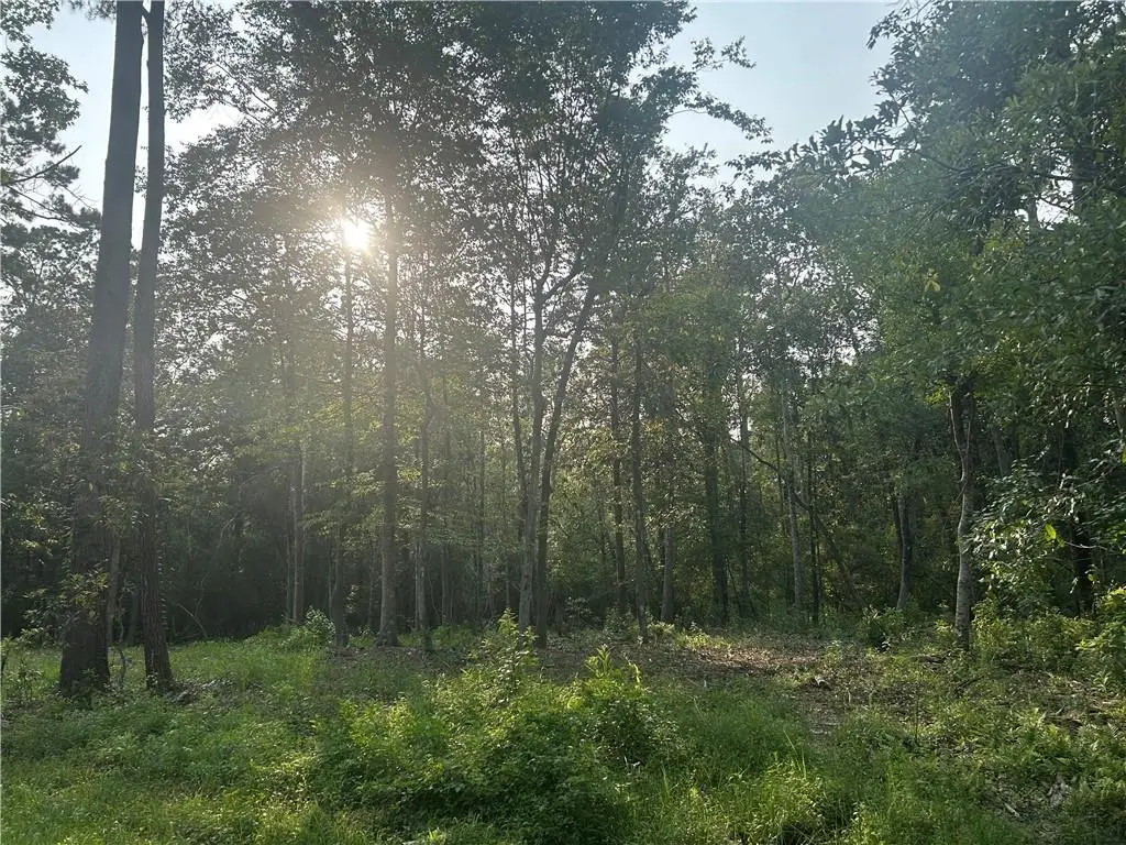 LOTS 158 & 159 Bogue Falaya Drive, Covington, LA 70433 - #1
