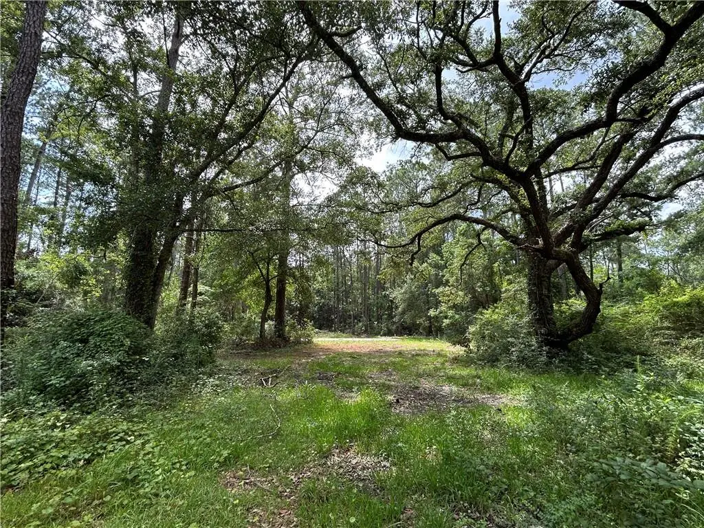 60017 S Tranquility Road, Lacombe, LA 70445 - #1
