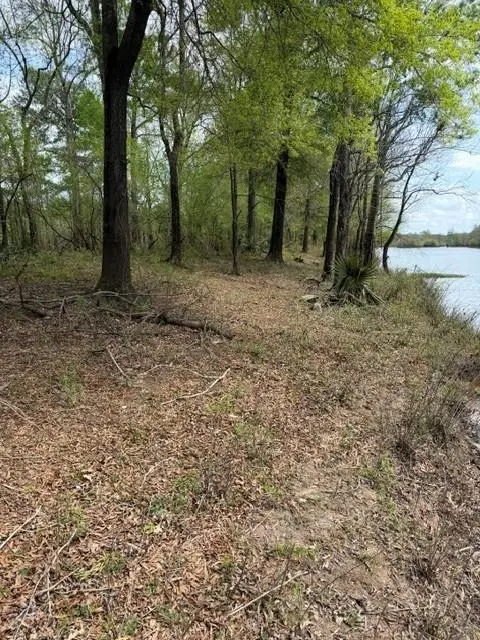 0 Rigolette Road, Pineville, LA 71360 - #3