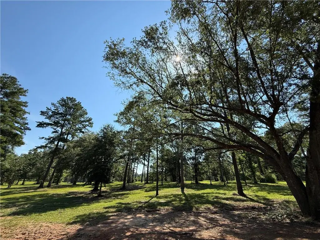 2720 Shade Tree Court, Abita Springs, LA 70420 - #1