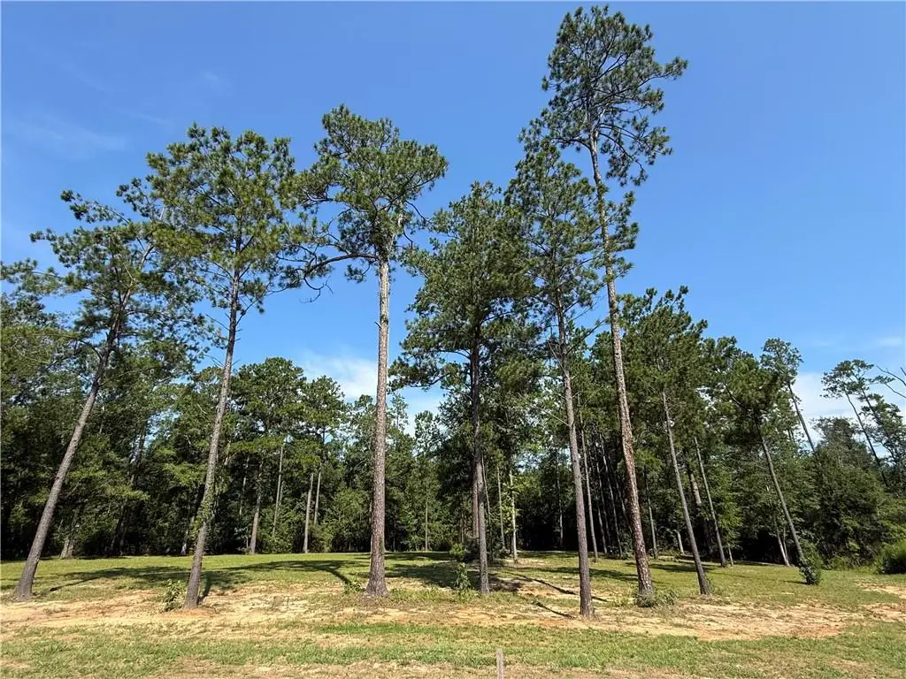 2748 Shade Tree Court, Abita Springs, LA 70420 - #1