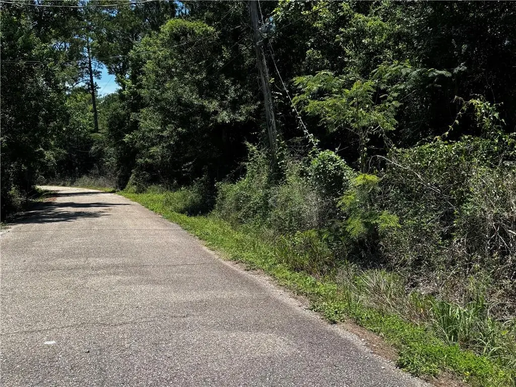 Dumas Road, Slidell, LA 70460 - #1