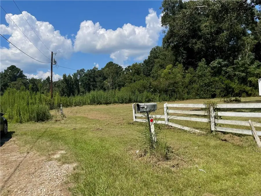 12539 Young Lane, Amite, LA 70422 - #3
