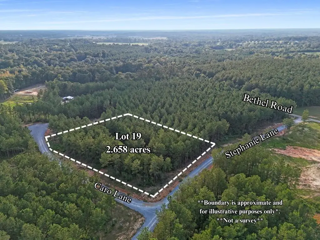 Lot 19 Caro Lane, Franklinton, LA 70438 - #1