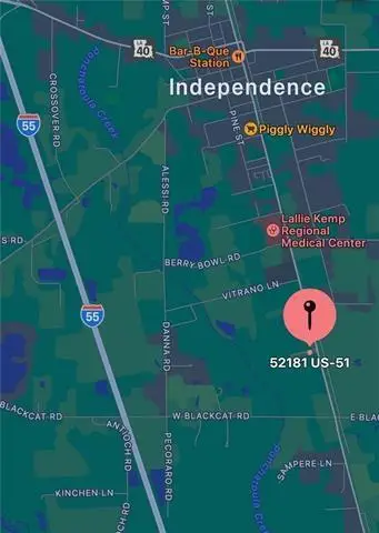 52181 Highway 51, Independence, LA 70443 - #2