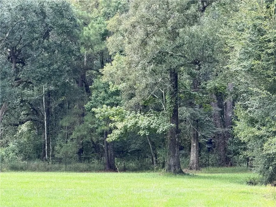 W Portier Road, Ponchatoula, LA 70454 - #3