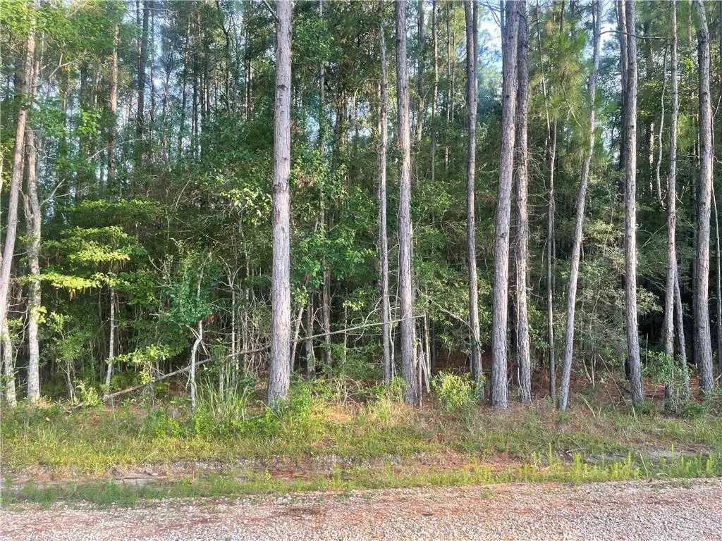 0 Worsham Drive, Abita Springs, LA 70420 - #1