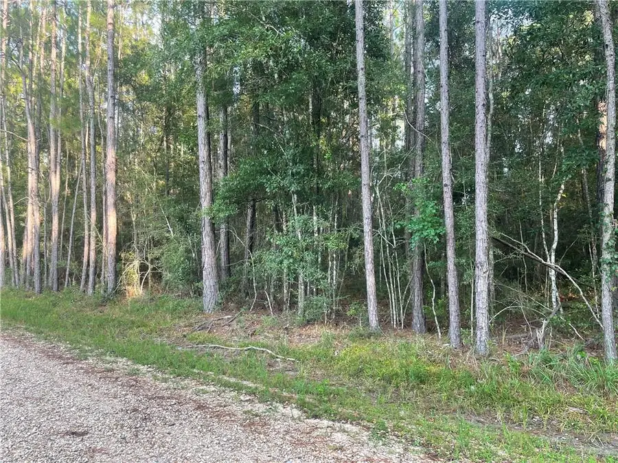 0 Worsham Drive, Abita Springs, LA 70420 - #2