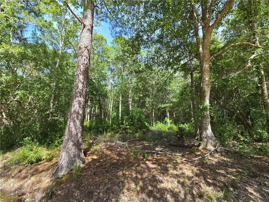72226 Magnolia Road, Abita Springs, LA 70420 - #2
