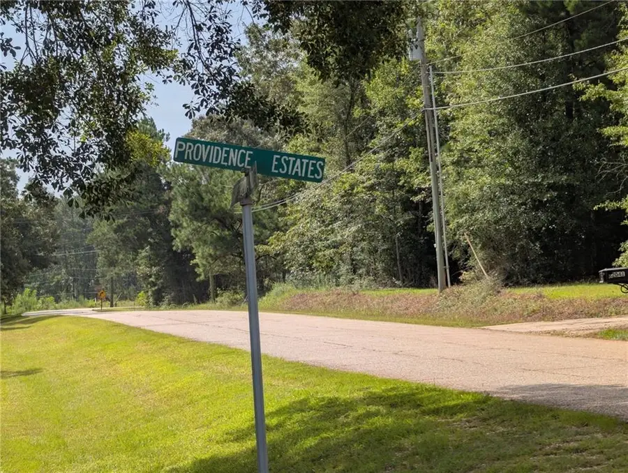 Providence Estates Road, Amite, LA 70422 - #3
