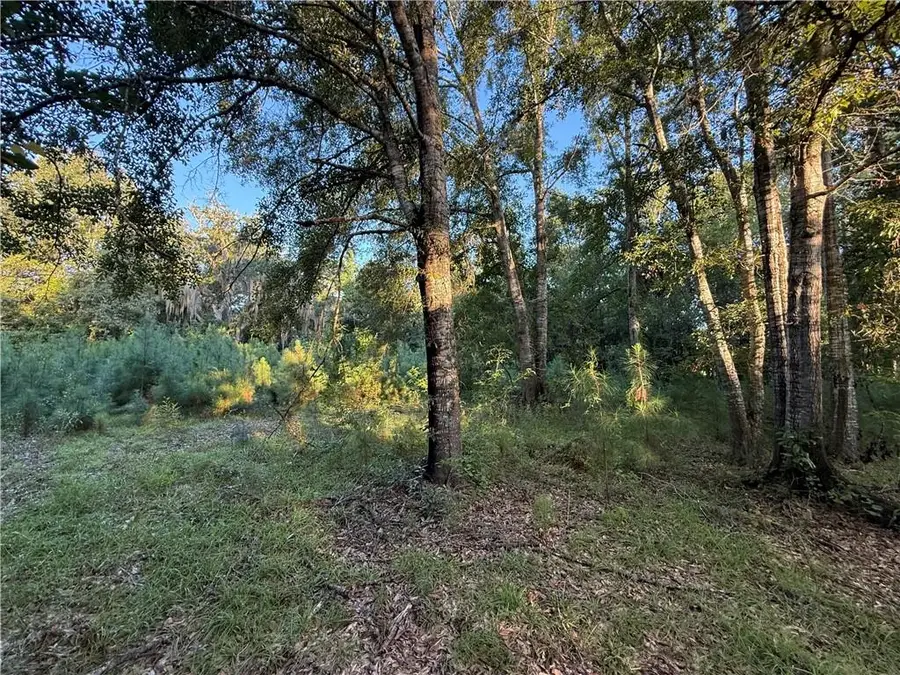 28317 Palmer Drive, Lacombe, LA 70445 - #2