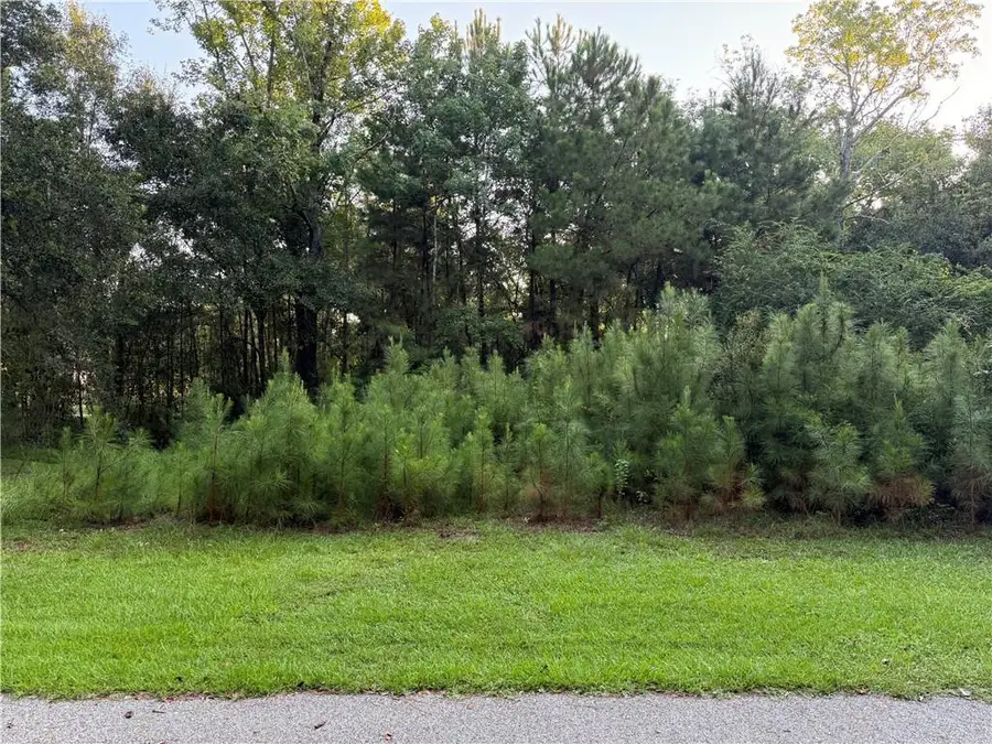 28317 Palmer Drive, Lacombe, LA 70445 - #3