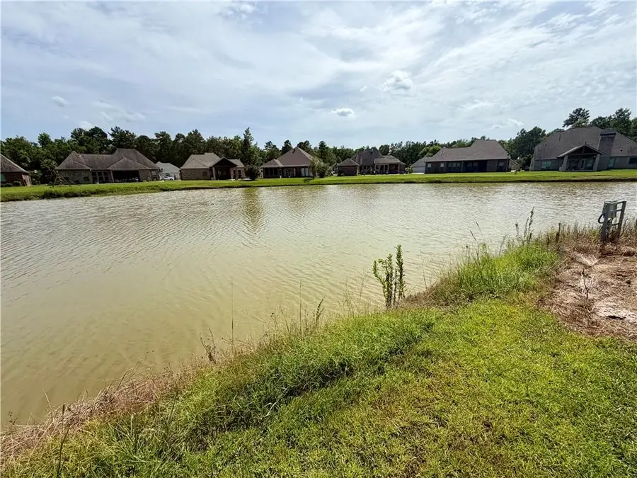 Lake Bienville Court, Ponchatoula, LA 70454 - #2