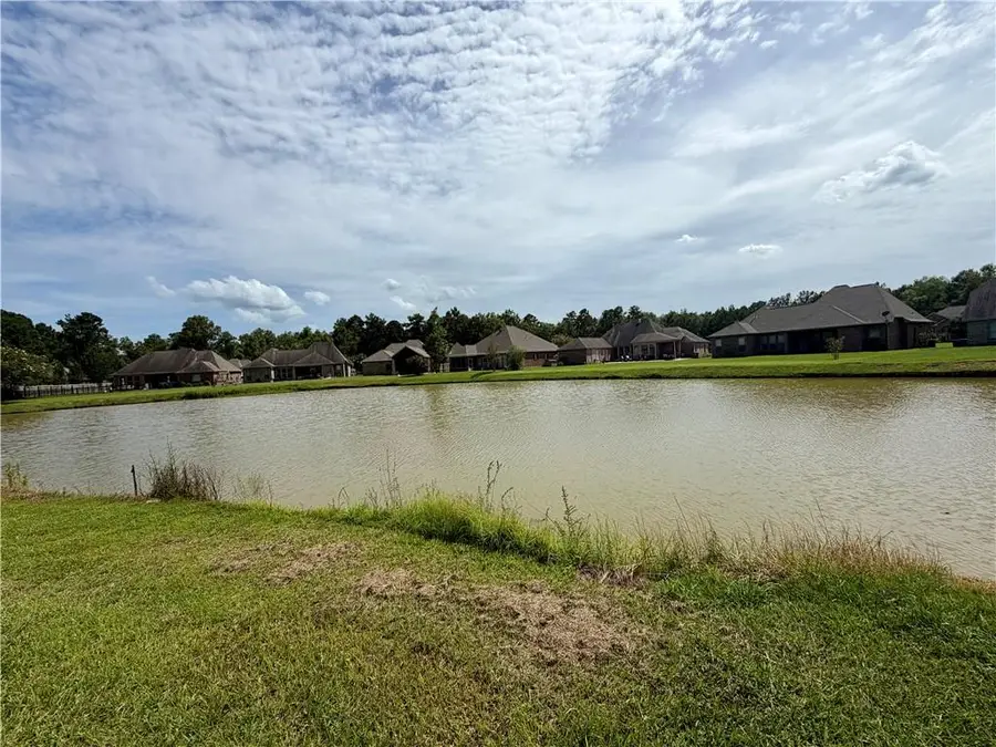 Lake Bienville Court, Ponchatoula, LA 70454 - #3