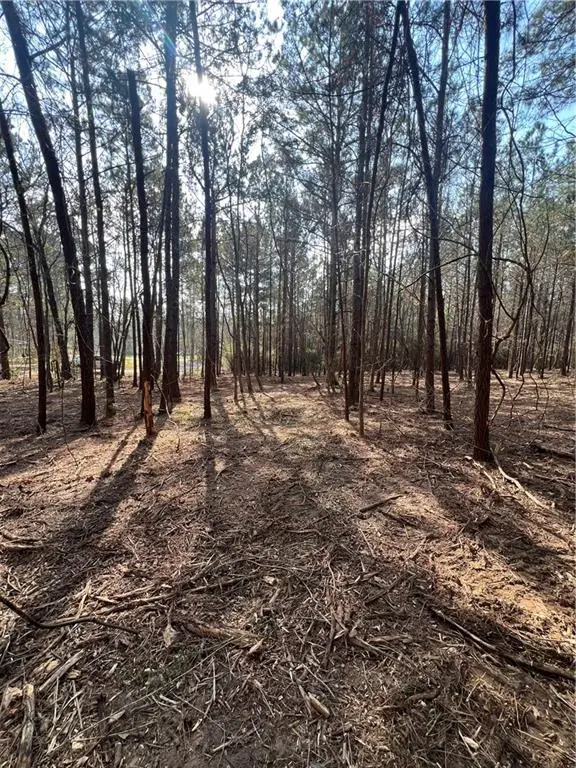 0 Chadwick Loop, Pineville, LA 71360