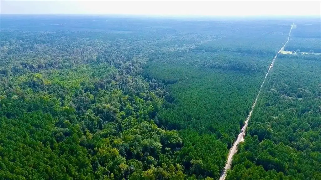 Ashmore Road, Glenmora, LA 71433 - #1
