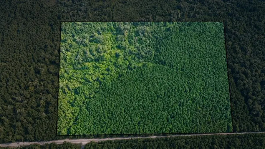 Ashmore Road, Glenmora, LA 71433 - #2