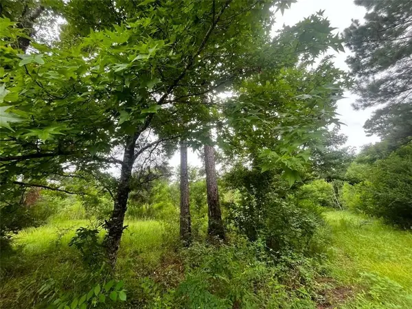 589 Tyler Cemetery Road, Center Point, LA 71323