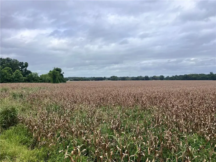 0 1185 Highway, Cottonport, LA 71327 - #2